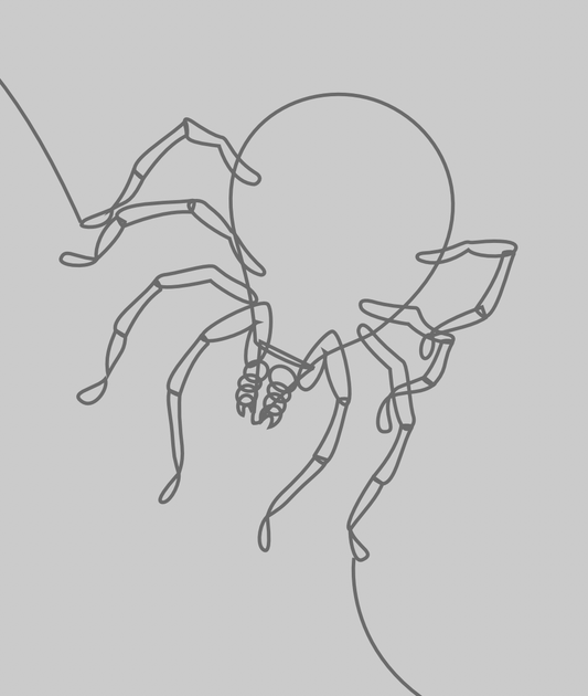 Amblyseius Swirskii - Against Spidermites