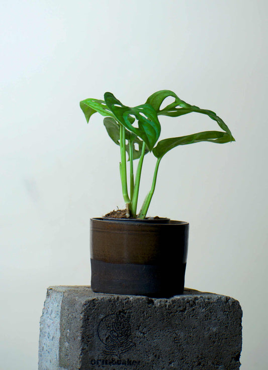 Ceramic pot 'espresso' | 6 cm | Stoneware clay