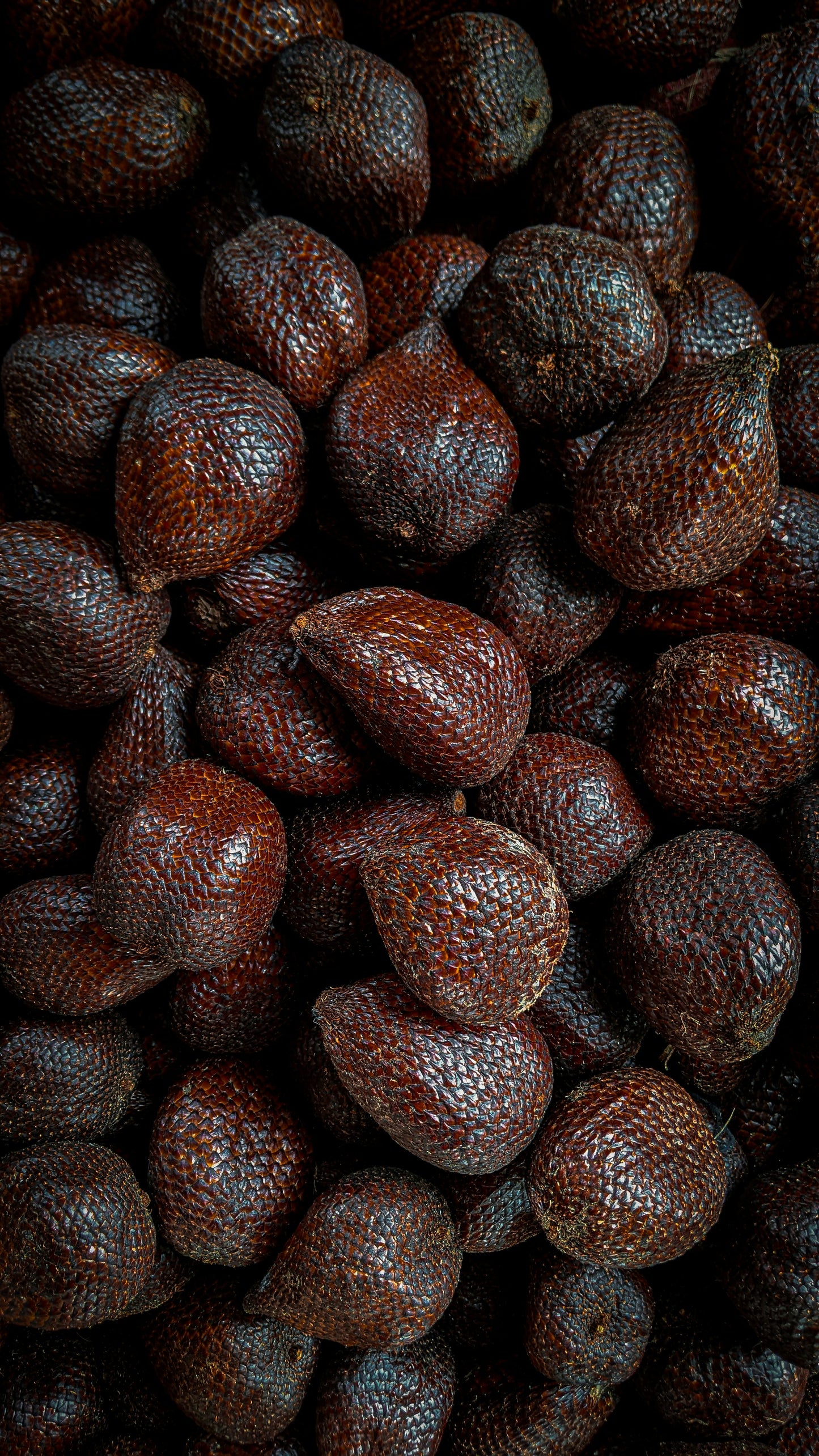 Salak 'Salacca edulis' edible